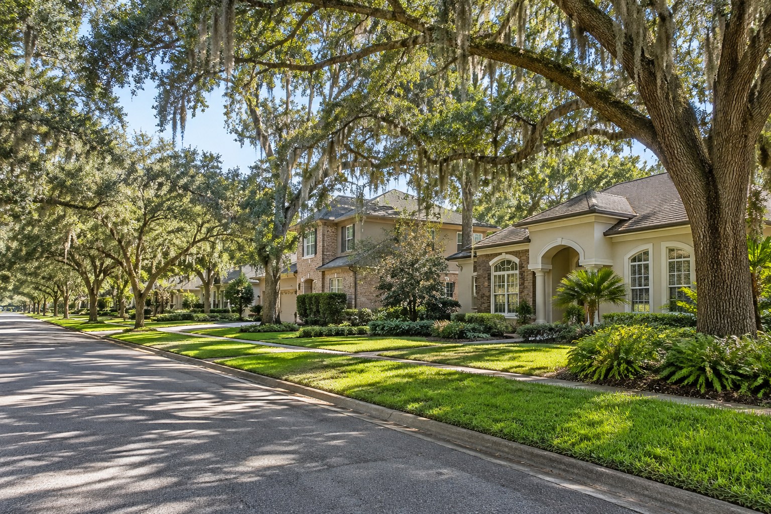 A quiet oak-lined Florida street, illustrative